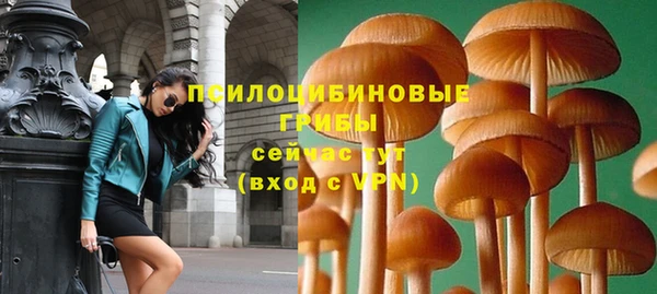 ешки Богданович